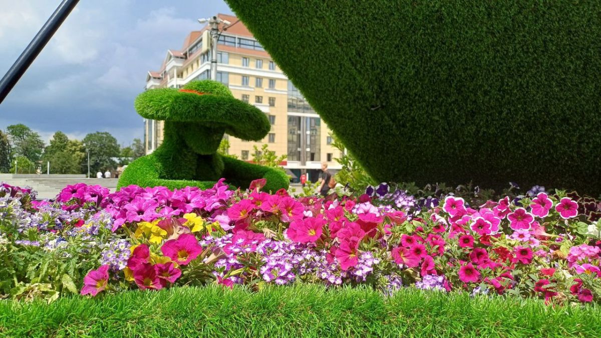 администрация Ставрополя