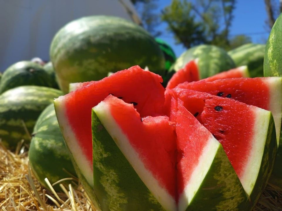 администрация Кисловодска