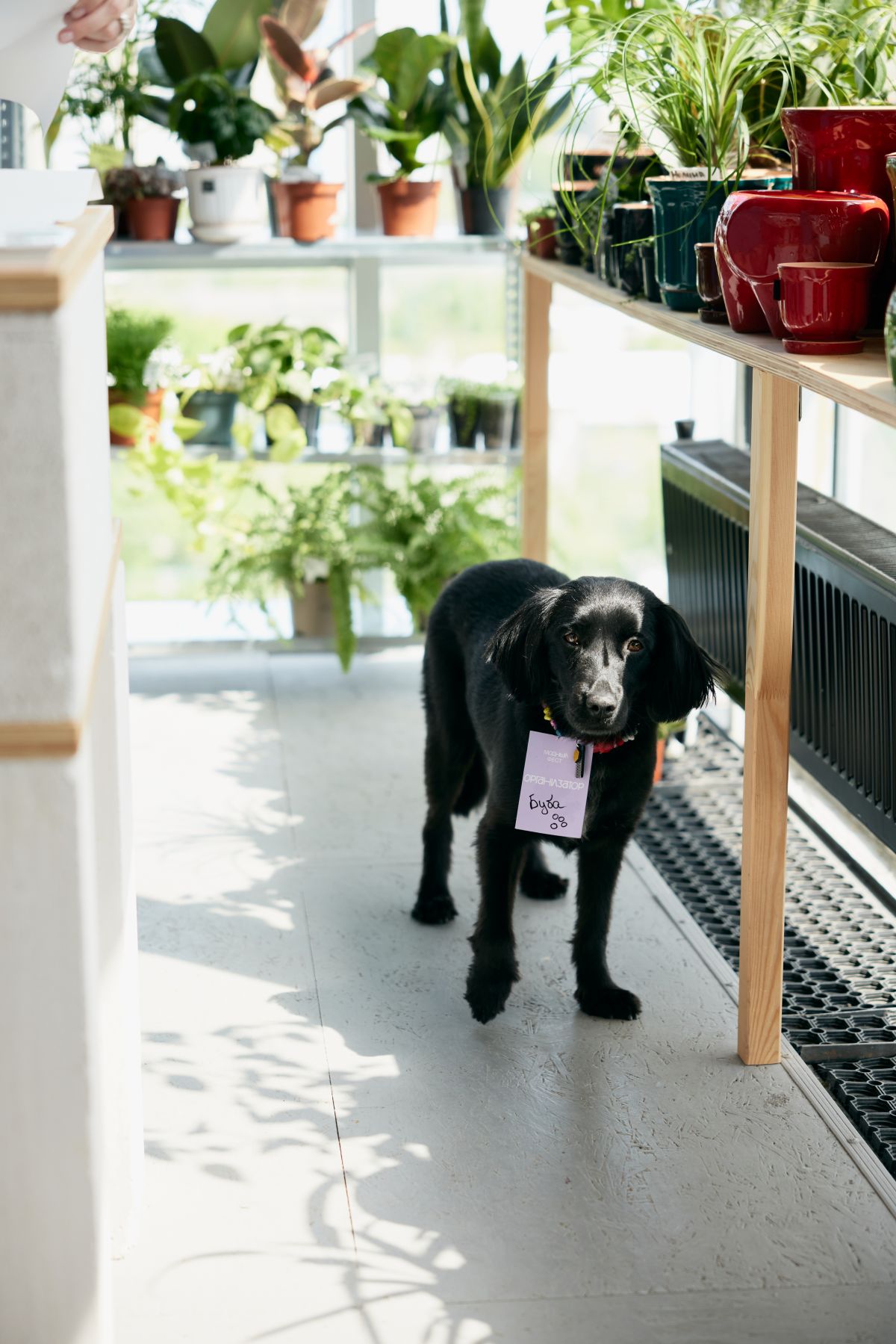 Ангелина Фахратова Ангелина Фахратова