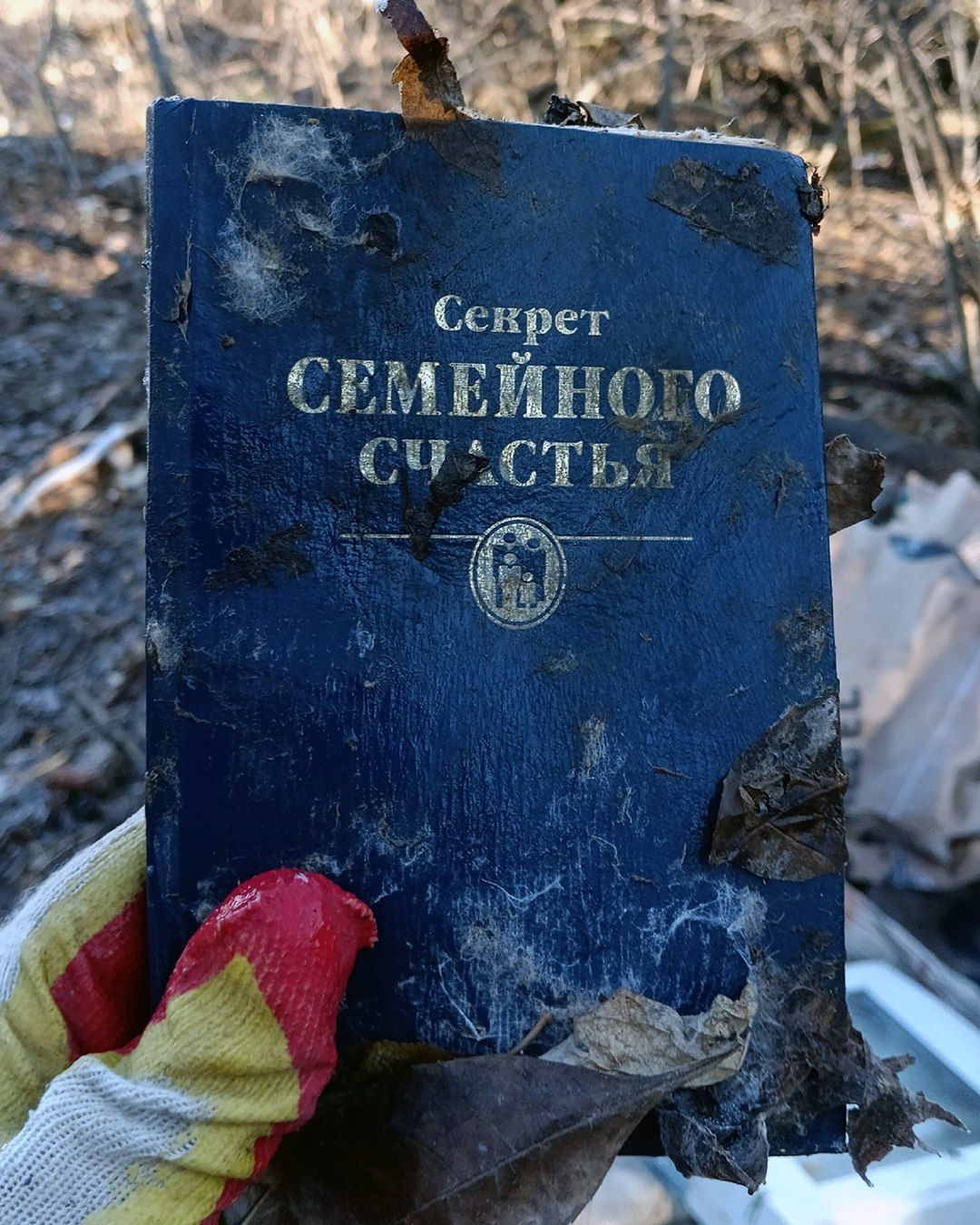 эко-проект "Субботник"