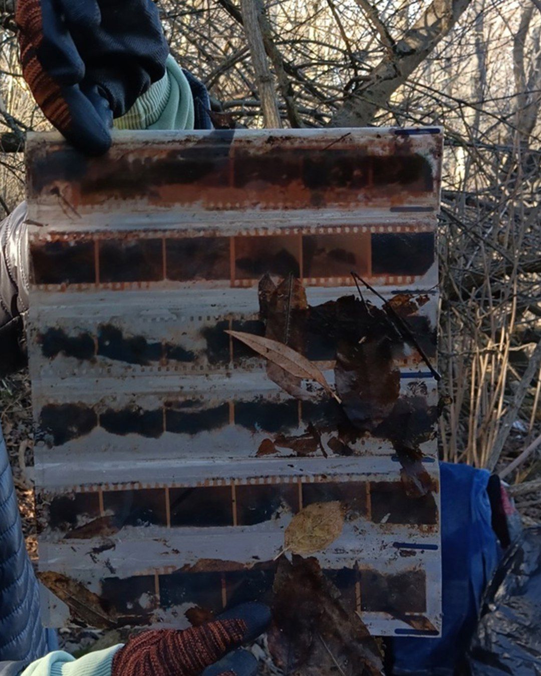 эко-проект "Субботник"