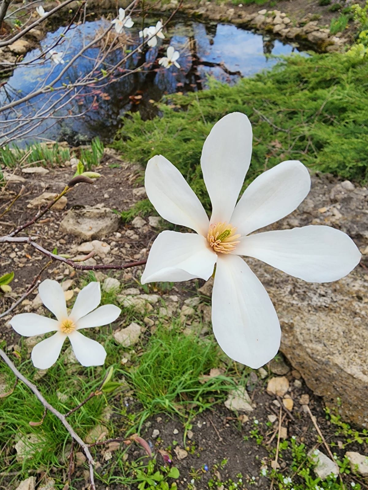 Фото: Ботанический сад Фото: Ботанический сад