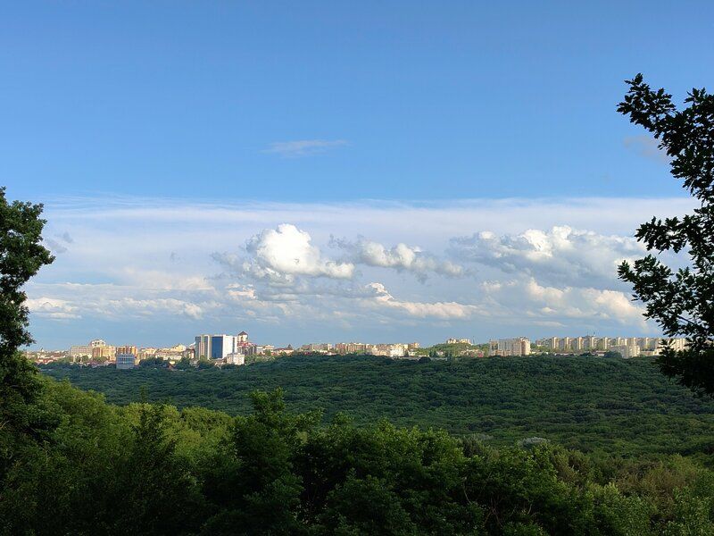 Таманский лес Таманский лес