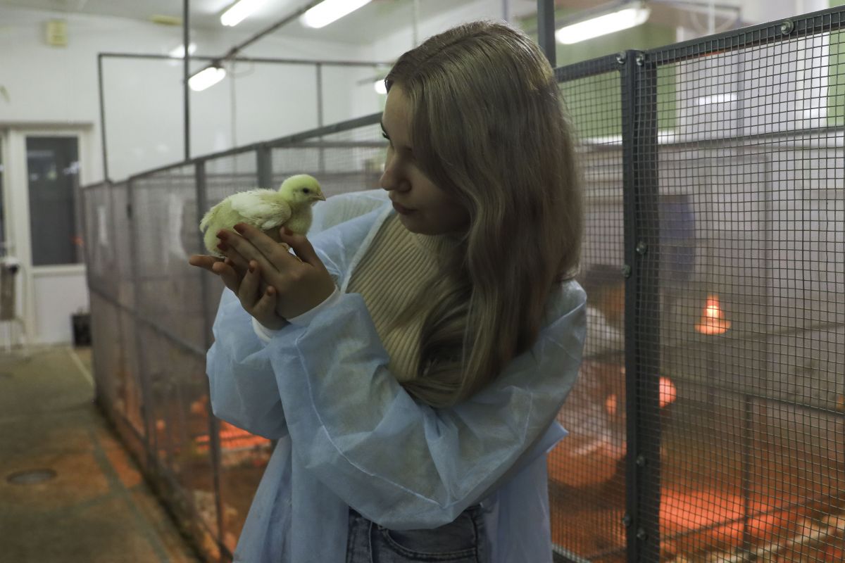 СтГАУ СтГАУ