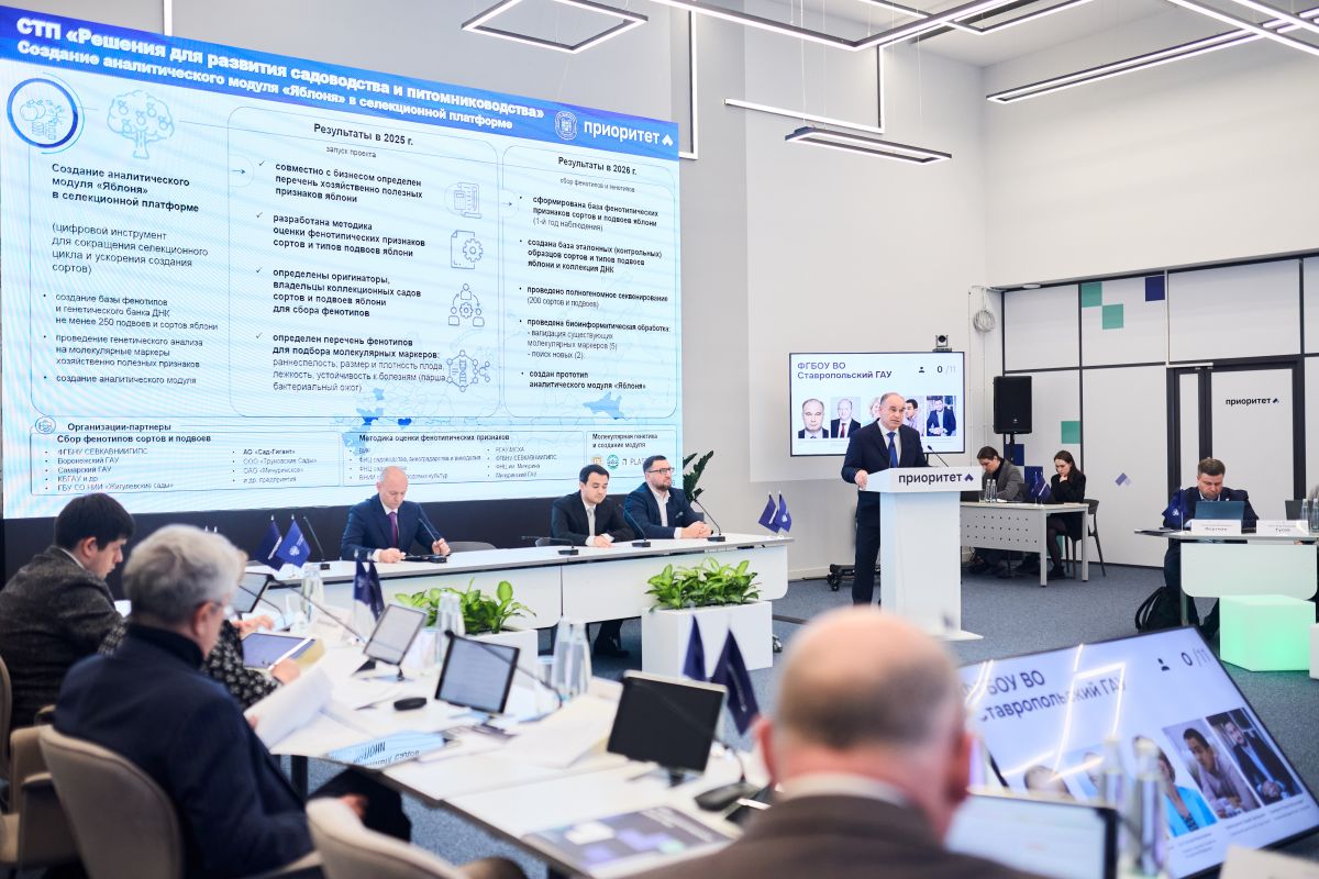 СтГАУ СтГАУ