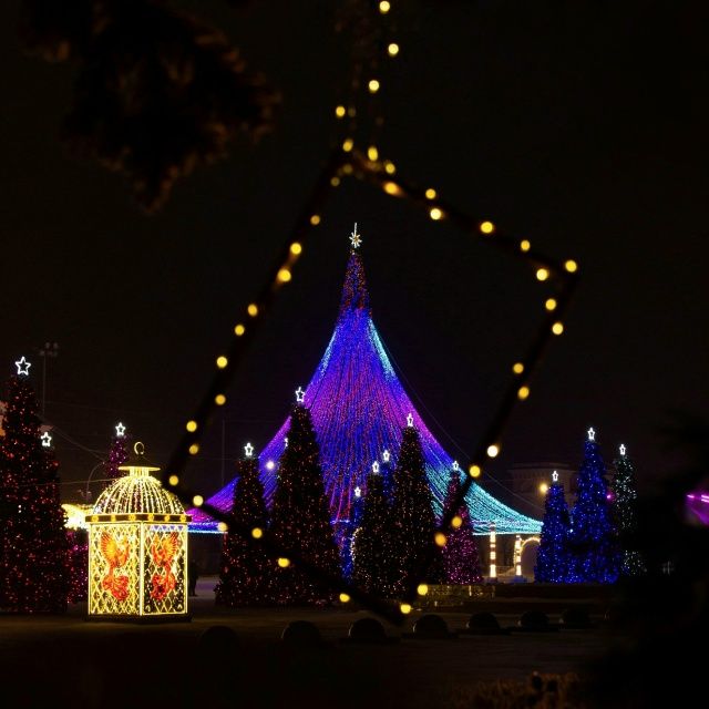 Светлана Соломенцева