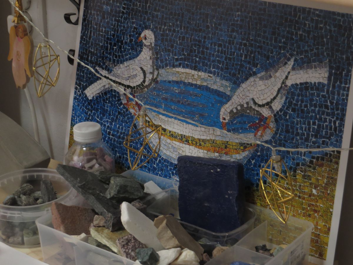 Фото: АТВмедиа