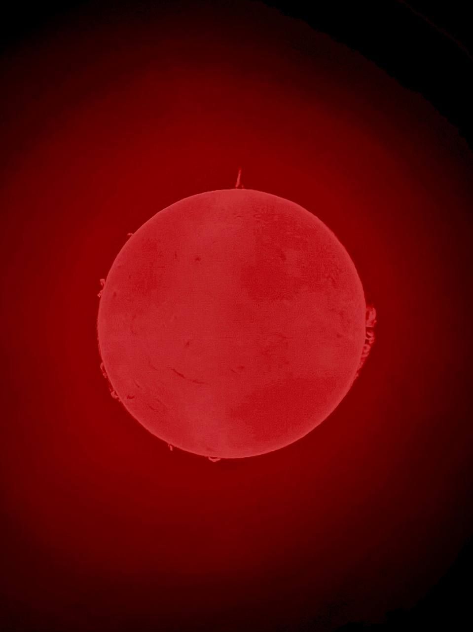 Фото: архив Максима Шишкина Фото: архив Максима Шишкина