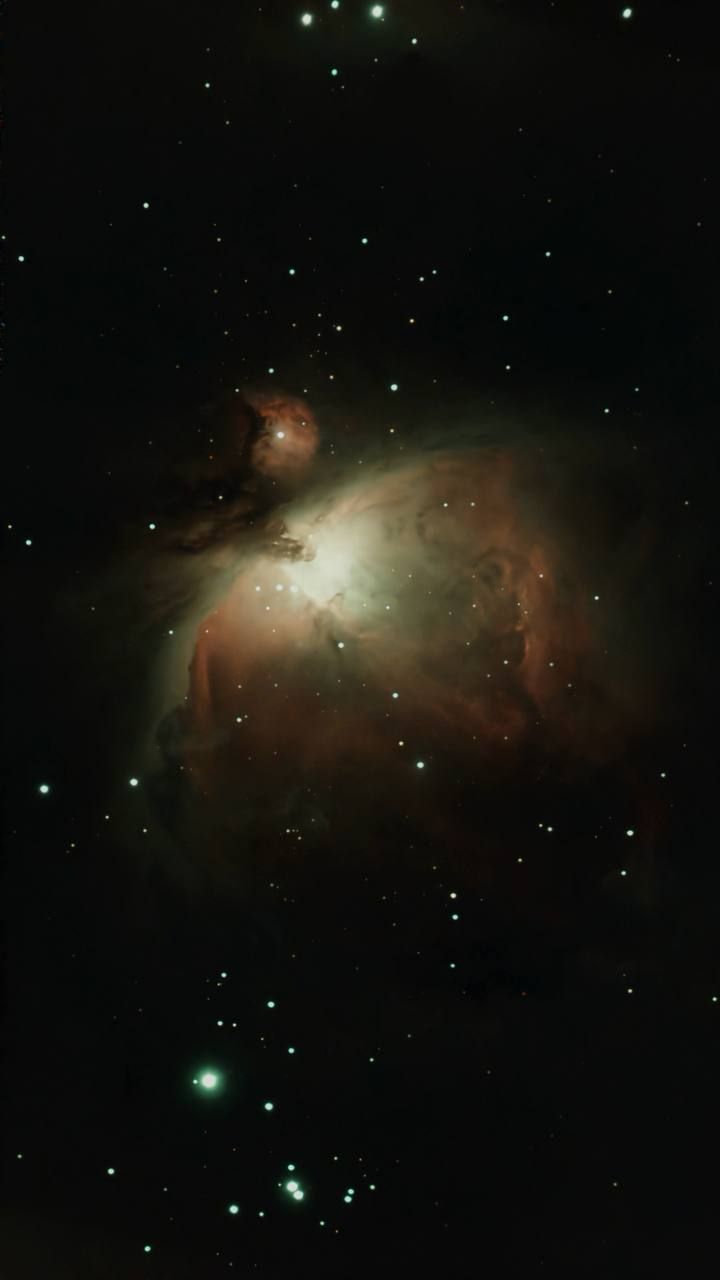 Фото: архив Максима Шишкина Фото: архив Максима Шишкина