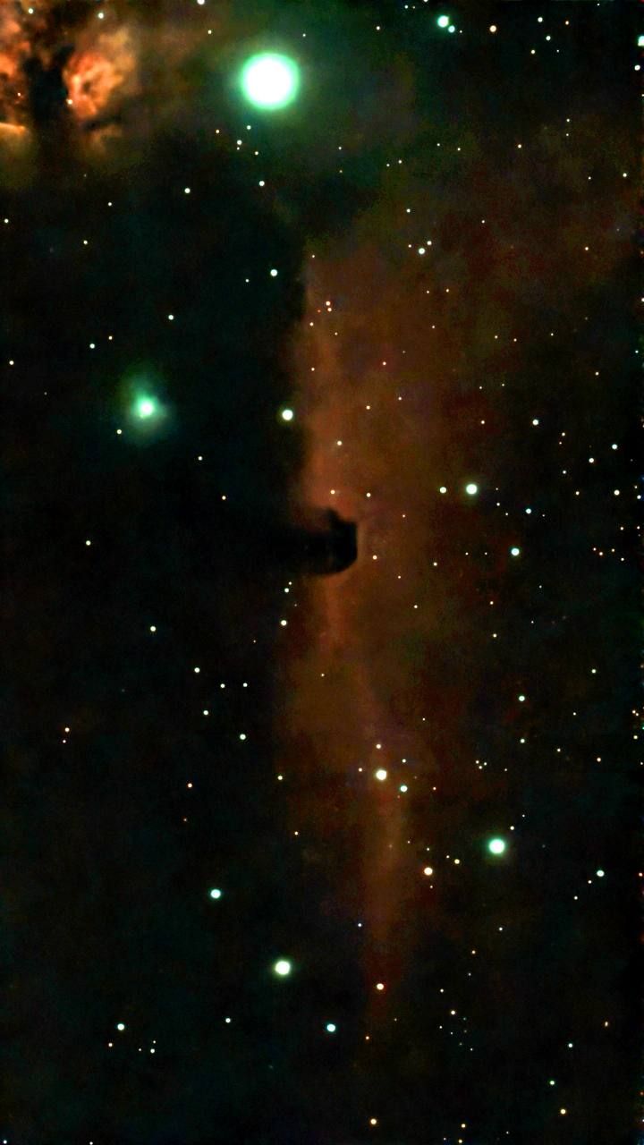 Фото: архив Максима Шишкина Фото: архив Максима Шишкина