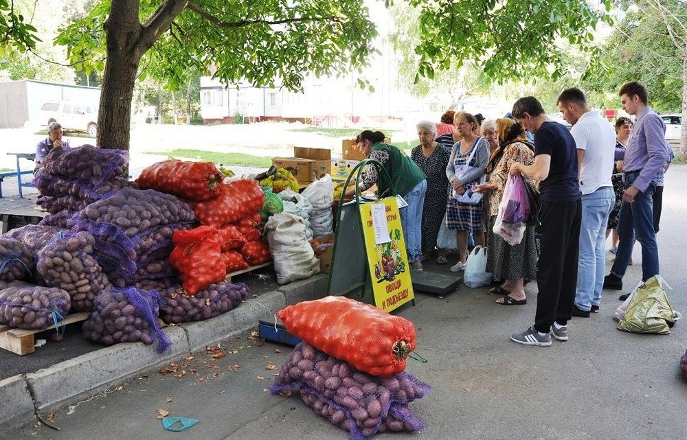 Ставропольский край село овощи. Рынок овощей в Ставропольском крае. Фрукты в Ессентуках в октябре. Овощи (село). Фрукты и овощи на Ставрополье в сентябре.