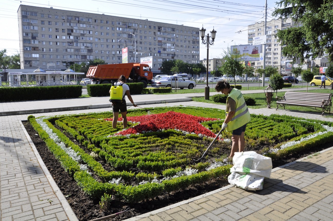 Где в ставрополе можно сделать. Горзеленстрой Ставрополь. Ставрополь Озеленение города. Главный инженер Горзеленстроя Ставрополь. Волыченко Горзеленстрой.