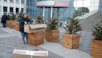 Ели пятигорск. Ель в кадке. Новогодний парк в Пятигорске. Живая ель Новогодняя торговой сети магнит 2020. Живые ёлки 204 Ставрополь.