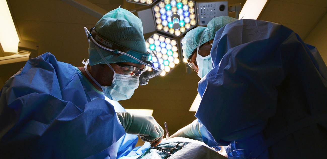 В Ставрополе врачей учили распознавать онкозаболевания у беременных