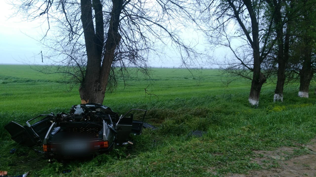 На Ставрополье легковушка врезалась в дерево, погибли два человека -  АТВмедиа