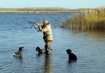 На Ставрополье определили сроки спортивной и любительской охоты На Ставрополье определили сроки спортивной и любительской охоты