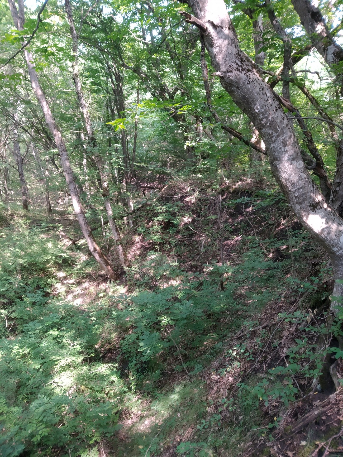 В Ставрополе обследовали «Косякинский песчаный карьер» В Ставрополе обследовали «Косякинский песчаный карьер»