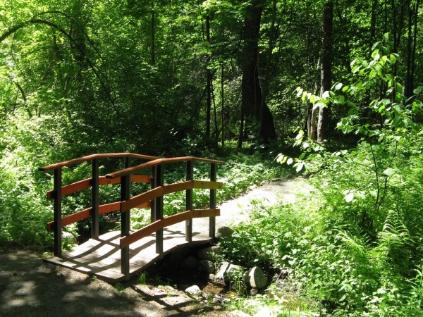 В Ставрополе проходит конкурс на лучший экологический маршрут