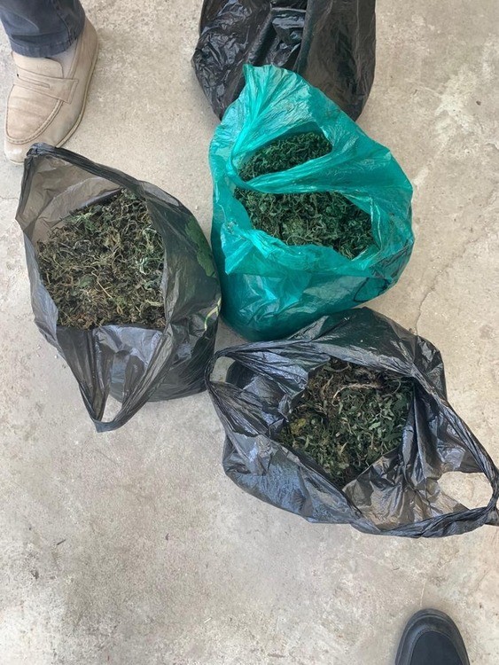 На Ставрополье мужчина выращивал дома наркотики