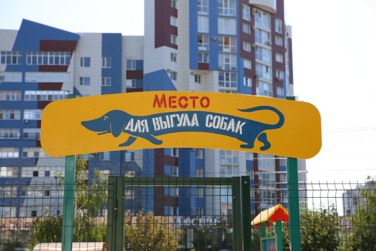 Площадка для выгула собак на юге Ставрополя почти готова Площадка для выгула собак на юге Ставрополя почти готова