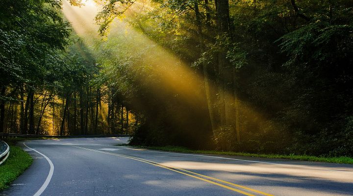 Миндор Ставрополья выделил муниципалитетам 200 млн рублей Миндор Ставрополья выделил муниципалитетам 200 млн рублей