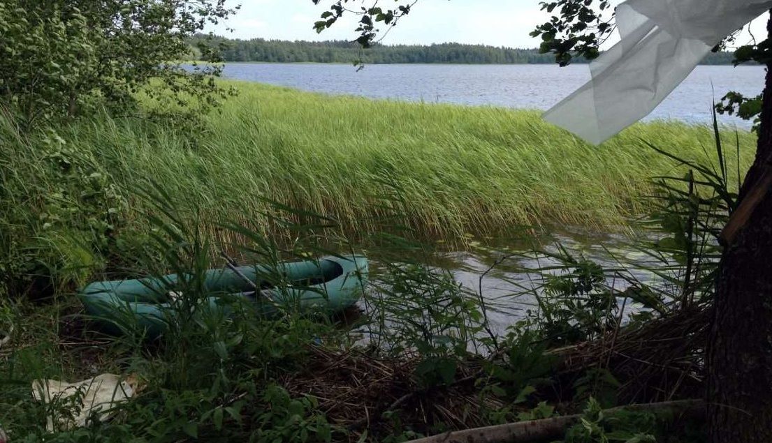 На Ставрополье рыбаки застряли в камышах На Ставрополье рыбаки застряли в камышах