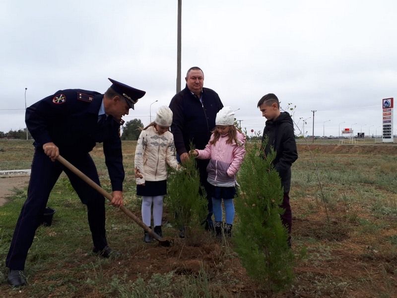«Лес Победы» появился в Апанасенковском районе Ставрополья