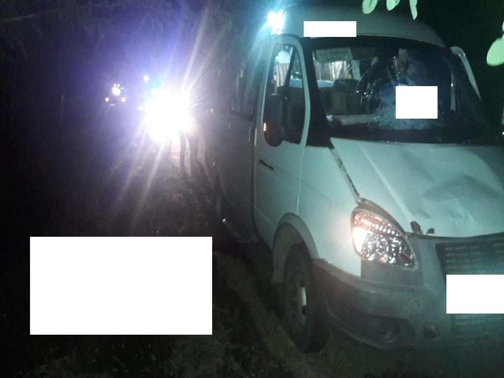 На Ставрополье в ДТП погиб пешеход На Ставрополье в ДТП погиб пешеход