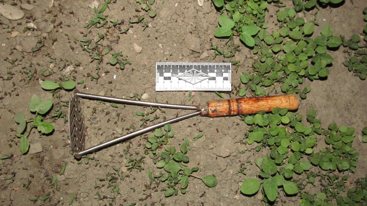 На Ставрополье мужчина изнасиловал и избил до смерти отца На Ставрополье мужчина изнасиловал и избил до смерти отца