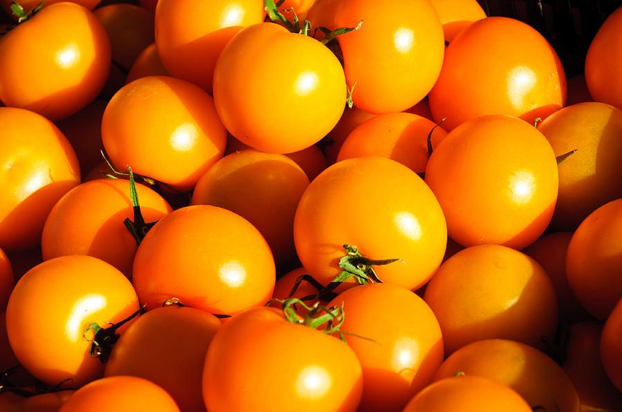 Кумкват желтый. Томат желтый гигант амишей. Томат желтый мрамор. Желто оранжевый помидор. Томат оранжевый детерминантный.