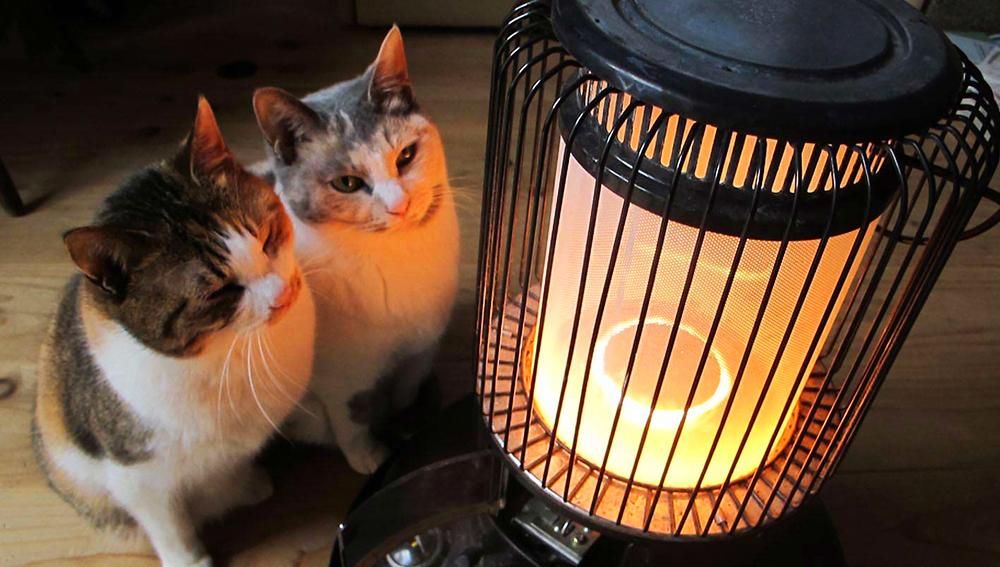 Ставропольцам рассказали, когда включат отопление Ставропольцам рассказали, когда включат отопление