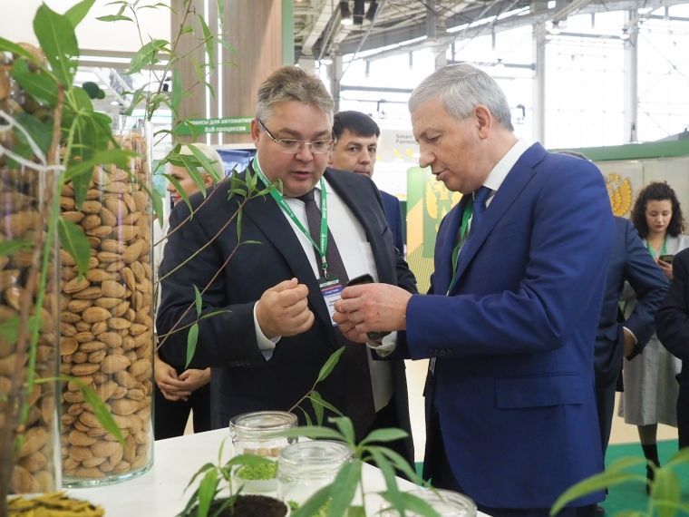 Ставропольскую продукцию представили на выставке в Москве Ставропольскую продукцию представили на выставке в Москве