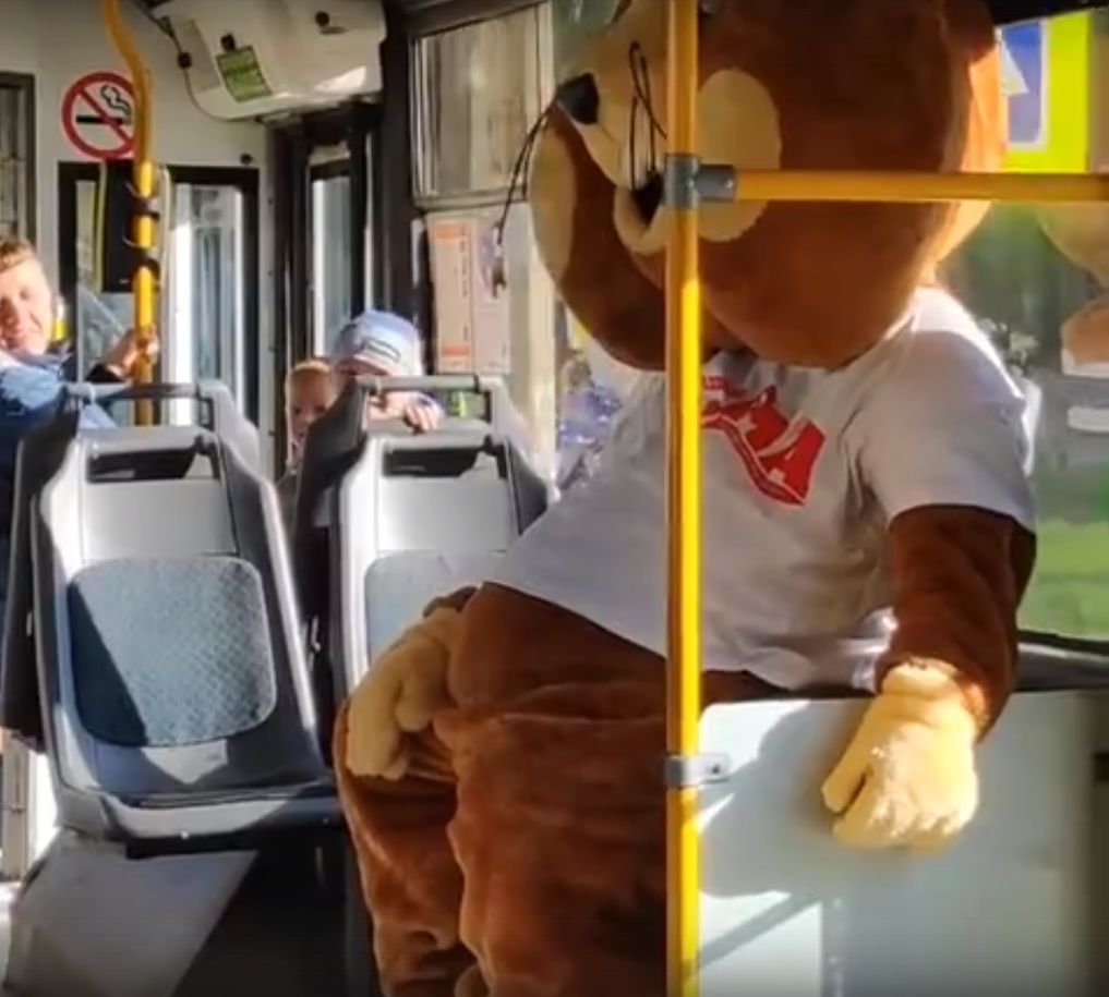 В ставропольском троллейбусе прокатился человек-хомяк