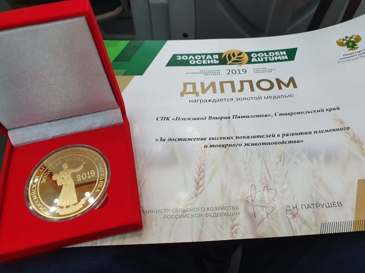 37 медалей привезли аграрии Ставрополья с выставки «Золотая осень»