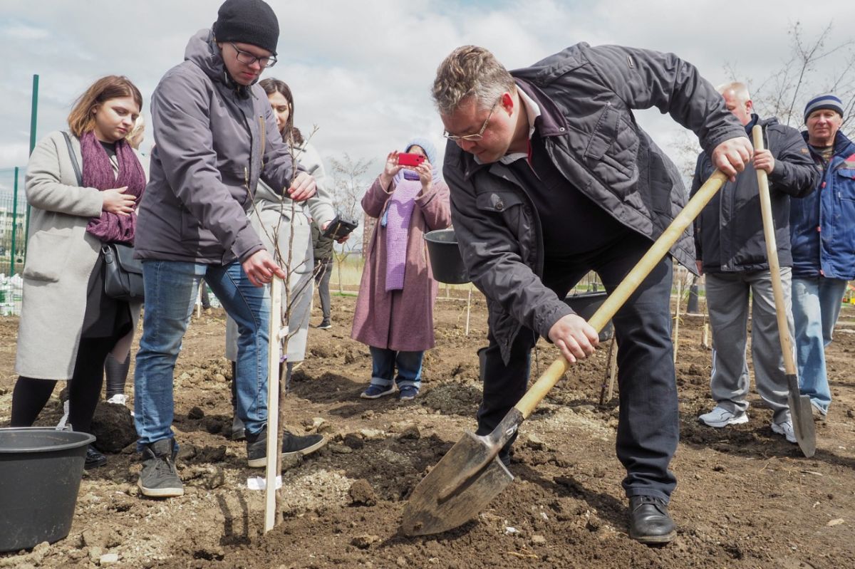 В Ставрополе пройдет массовая высадка кустарников и деревьев