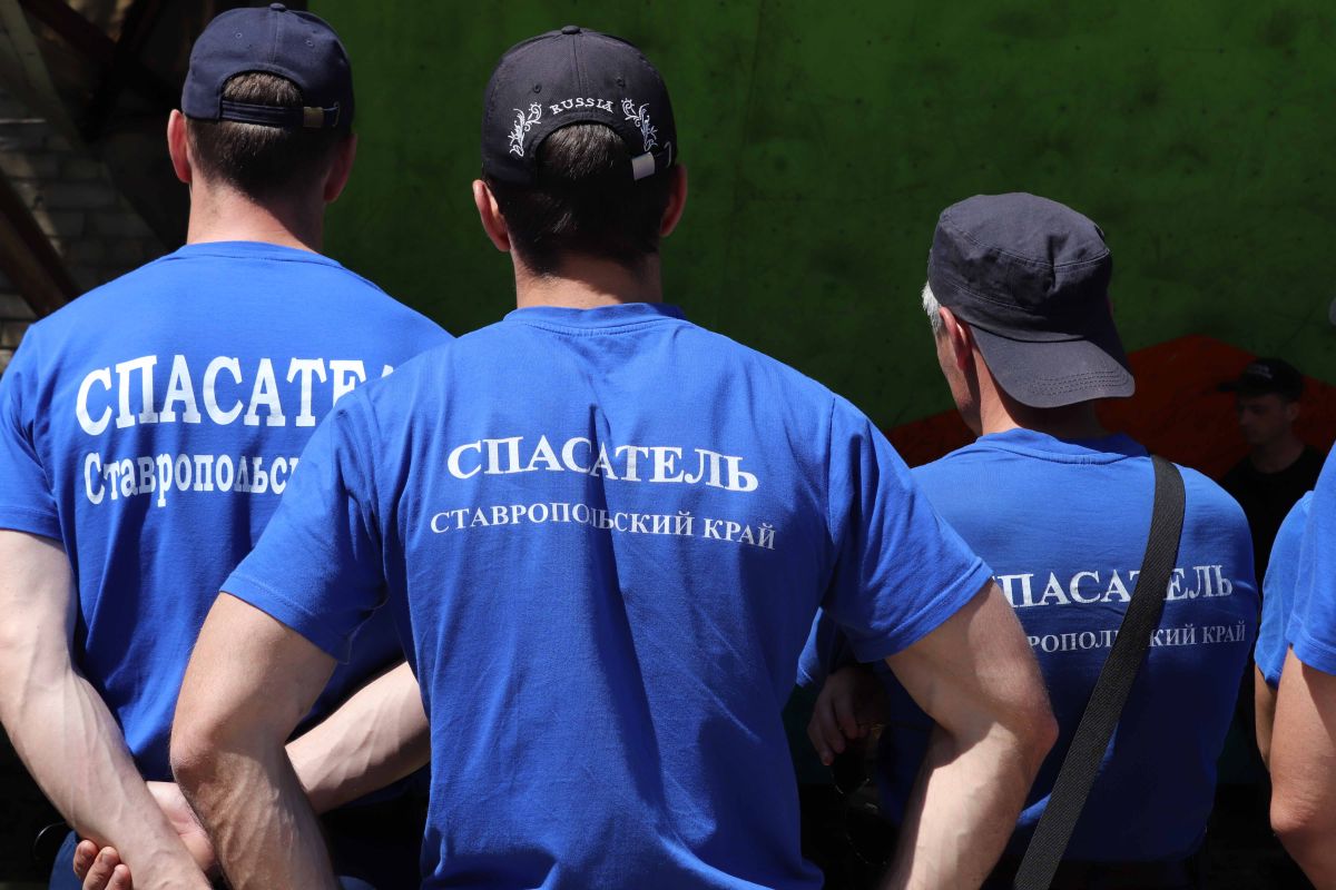 Ставропольские спасатели достали собаку из пруда Центрального парка Ставропольские спасатели достали собаку из пруда Центрального парка