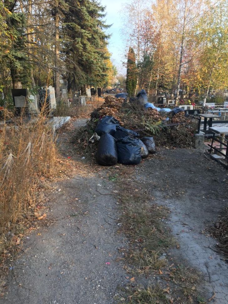 В Ессентуках с кладбищ вывезли 50 кубометров мусора В Ессентуках с кладбищ вывезли 50 кубометров мусора