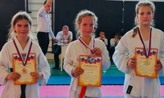 В Ставрополе прошло первенство по всестилевому каратэ В Ставрополе прошло первенство по всестилевому каратэ