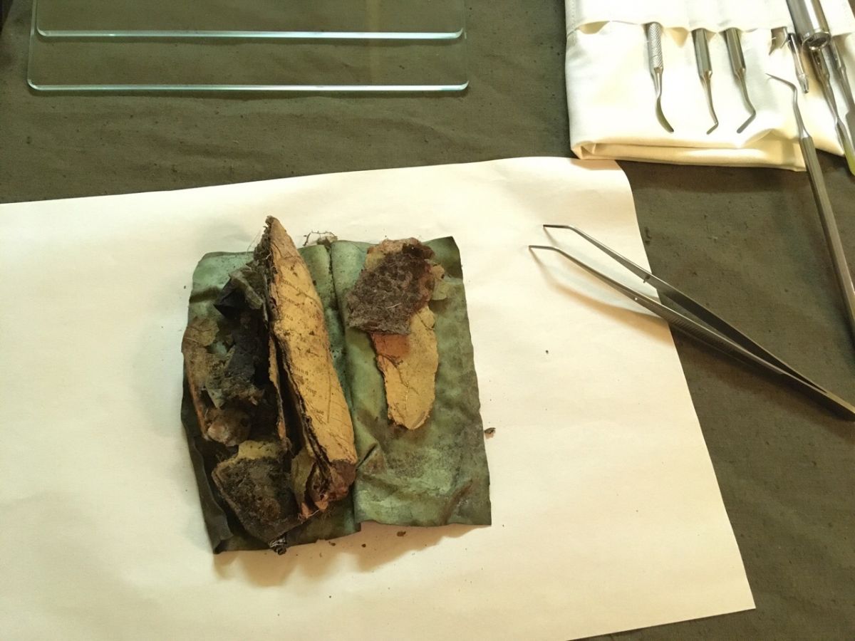 Останки ставропольского солдата нашли в Орловской области