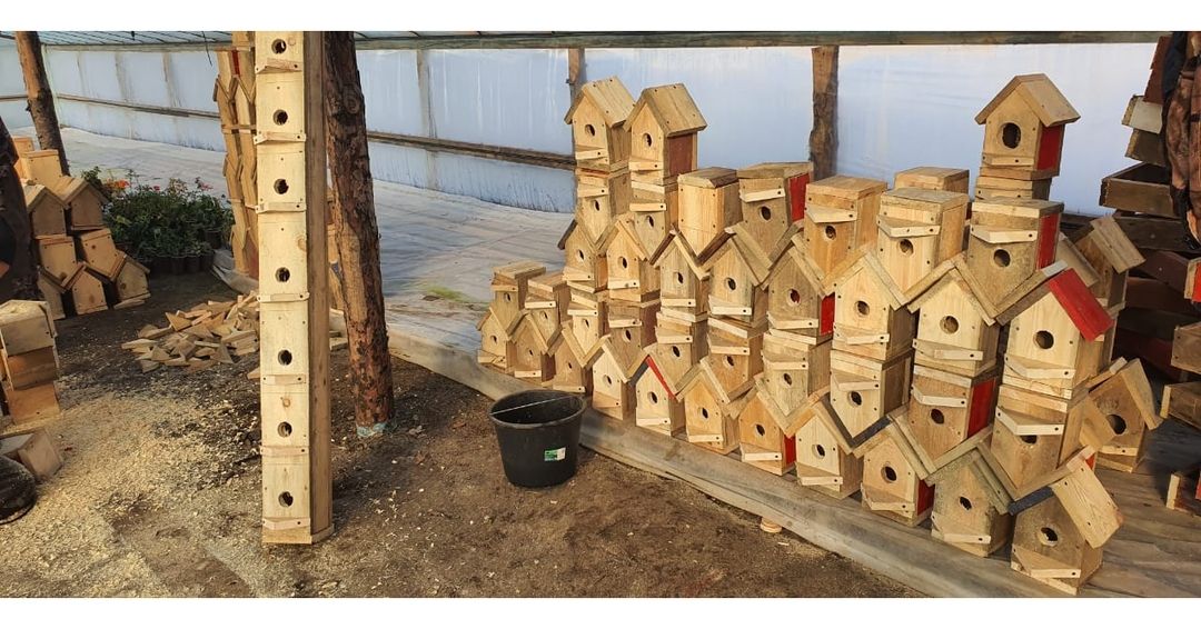 Флетхаусы для птиц построили в Ставрополе Флетхаусы для птиц построили в Ставрополе