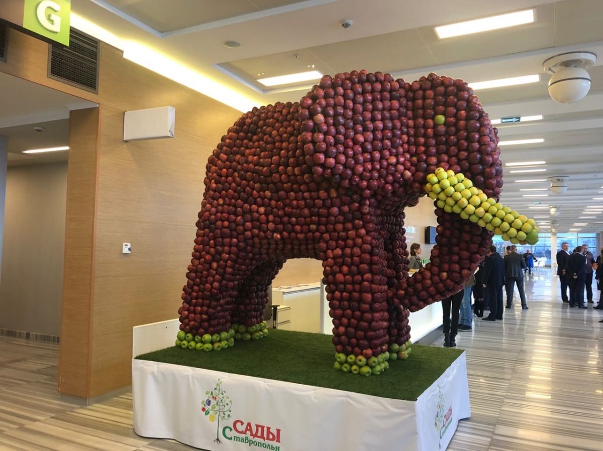 Выставка «PROЯБЛОКО 2019» открылась на Ставрополье