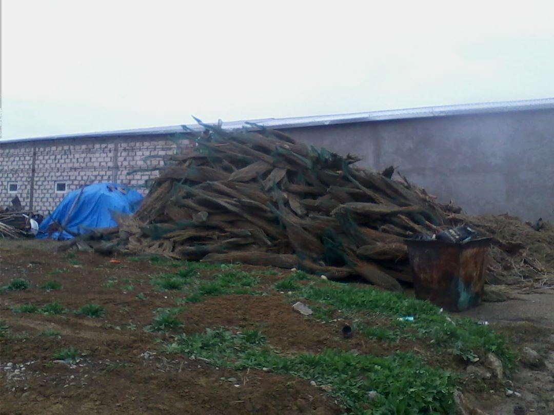 В Георгиевске нашли свалку «рождественских трупов» В Георгиевске нашли свалку «рождественских трупов»