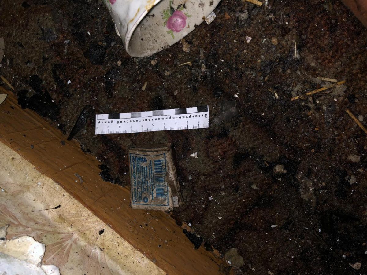 Мать с сыном погибли при пожаре на Ставрополье