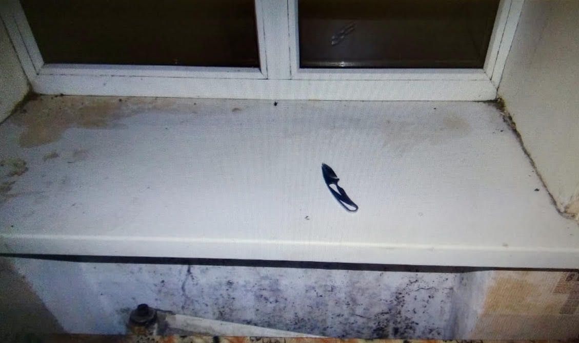 Житель Ставрополья пойдет под суд за изнасилование и разбой Житель Ставрополья пойдет под суд за изнасилование и разбой