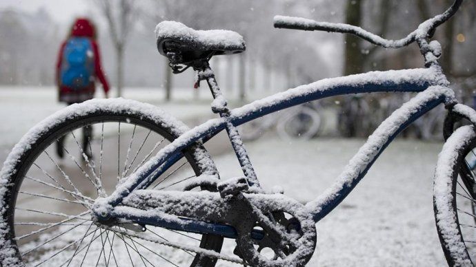 В Ставрополе соберут елку из велосипедов В Ставрополе соберут елку из велосипедов