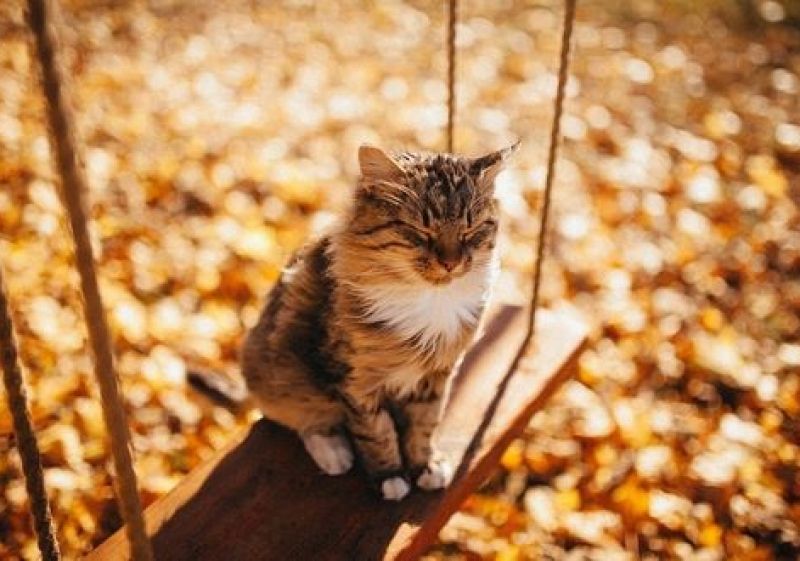 На Ставрополье ожидаются теплые выходные