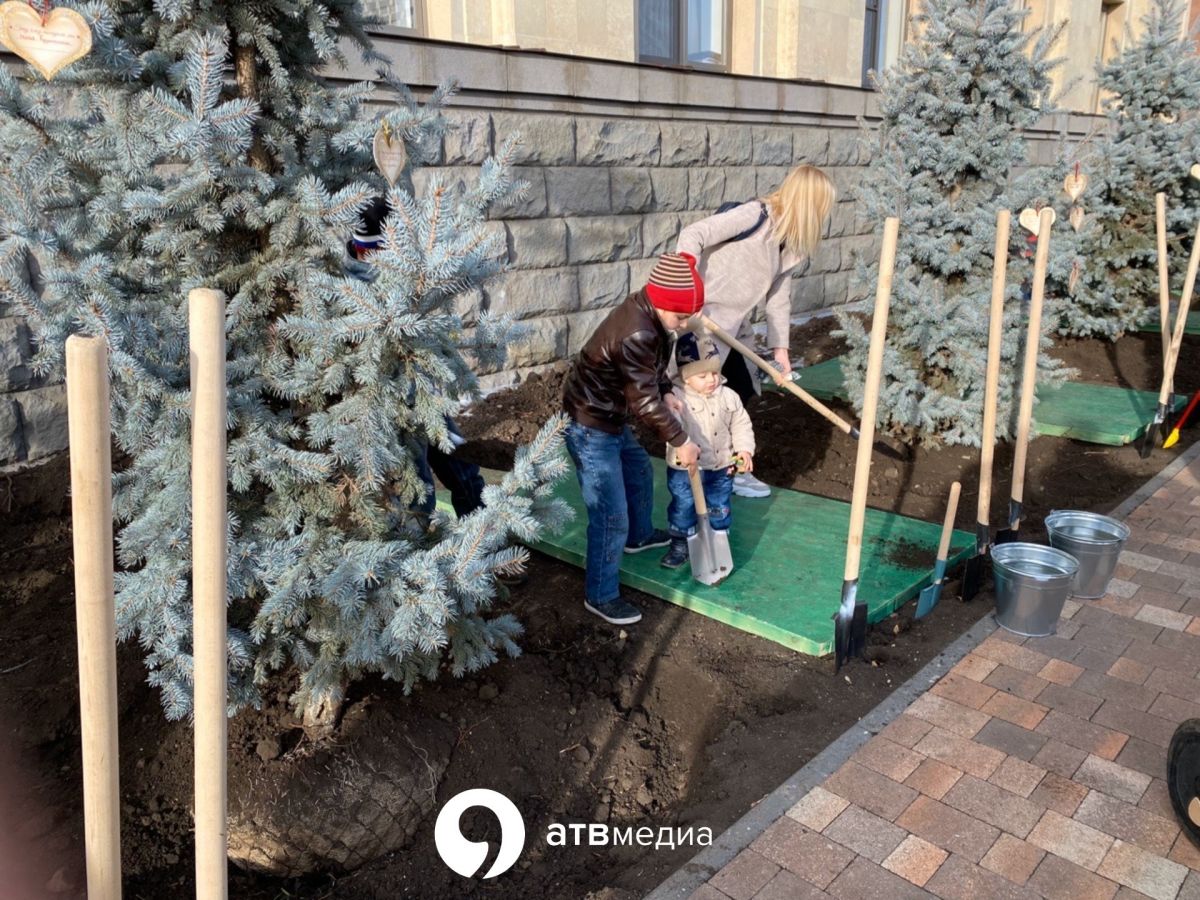 Ставропольцы высадили ели перед зданием краевого Правительства