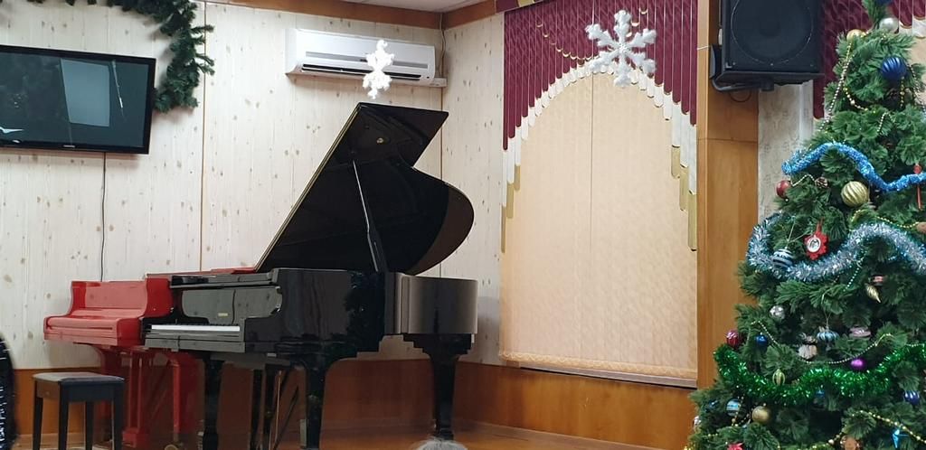 Новый инструмент привезли в музыкальную школу Невинномысска