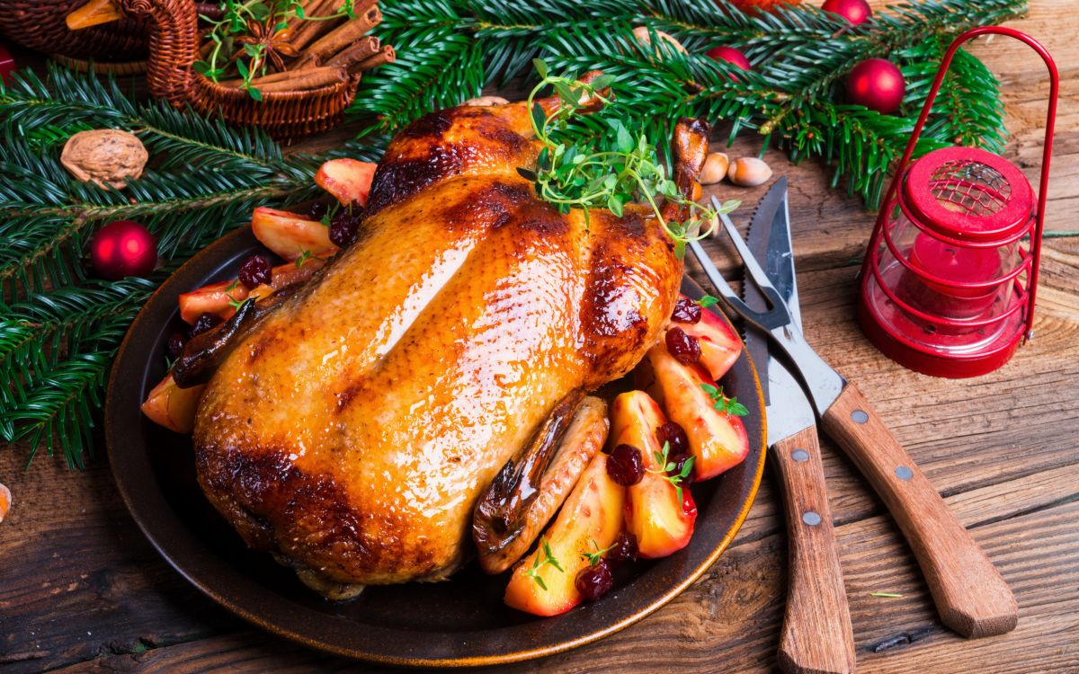 В Ставрополе победителю рождественского квеста подарят гуся В Ставрополе победителю рождественского квеста подарят гуся