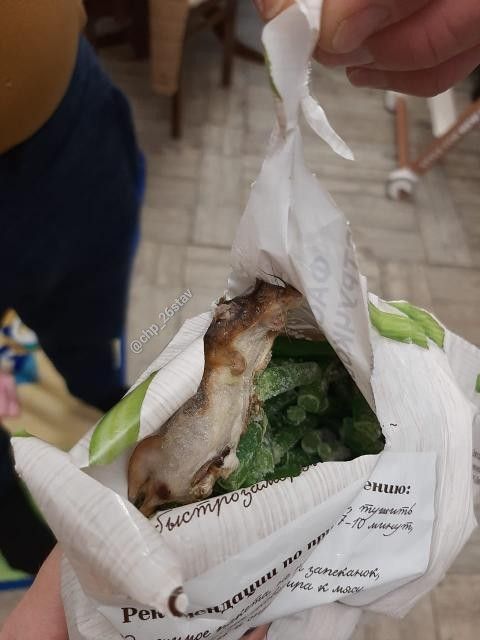 Мертвую мышь нашел в упаковке с фасолью житель Ставрополя Мертвую мышь нашел в упаковке с фасолью житель Ставрополя